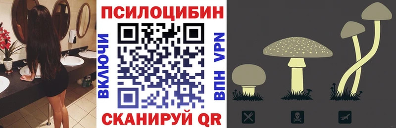 где продают наркотики  Назарово  Псилоцибиновые грибы ЛСД 