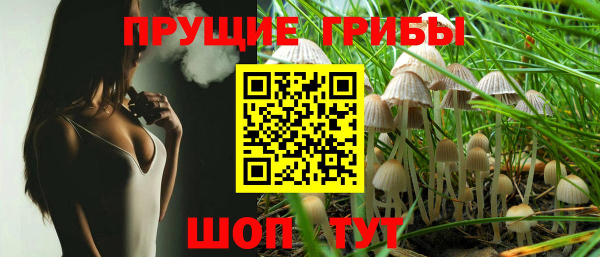 Галлюциногенные грибы Psilocybine cubensis  Вход с VPN  Назарово 